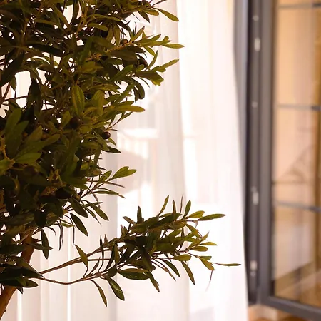 Winzerhof Mussbach, Ihr Feriendomizil In Der Pfalz 아파트 *