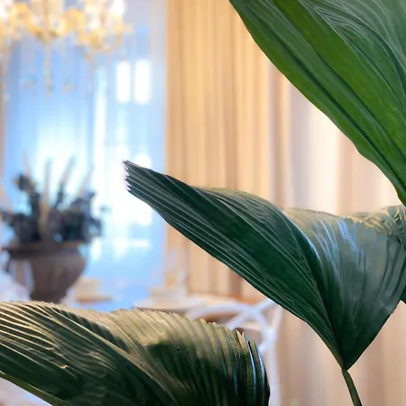 Winzerhof Mussbach, Ihr Feriendomizil In Der Pfalz * Neustadt an der Weinstraße