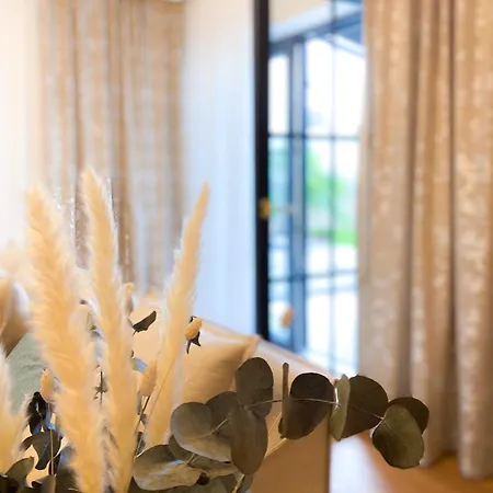 Winzerhof Mussbach, Ihr Feriendomizil In Der Pfalz Appartement