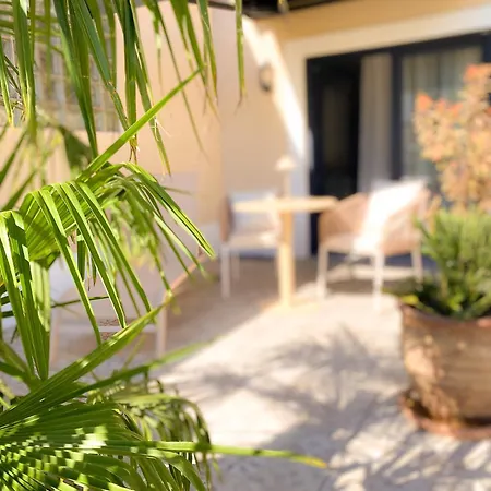 Winzerhof Mussbach, Ihr Feriendomizil In Der Pfalz Appartement Neustadt an der Weinstraße