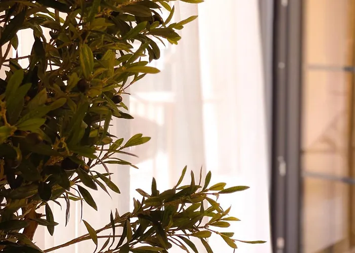 Winzerhof Mussbach, Ihr Feriendomizil In Der Pfalz Apartmán *